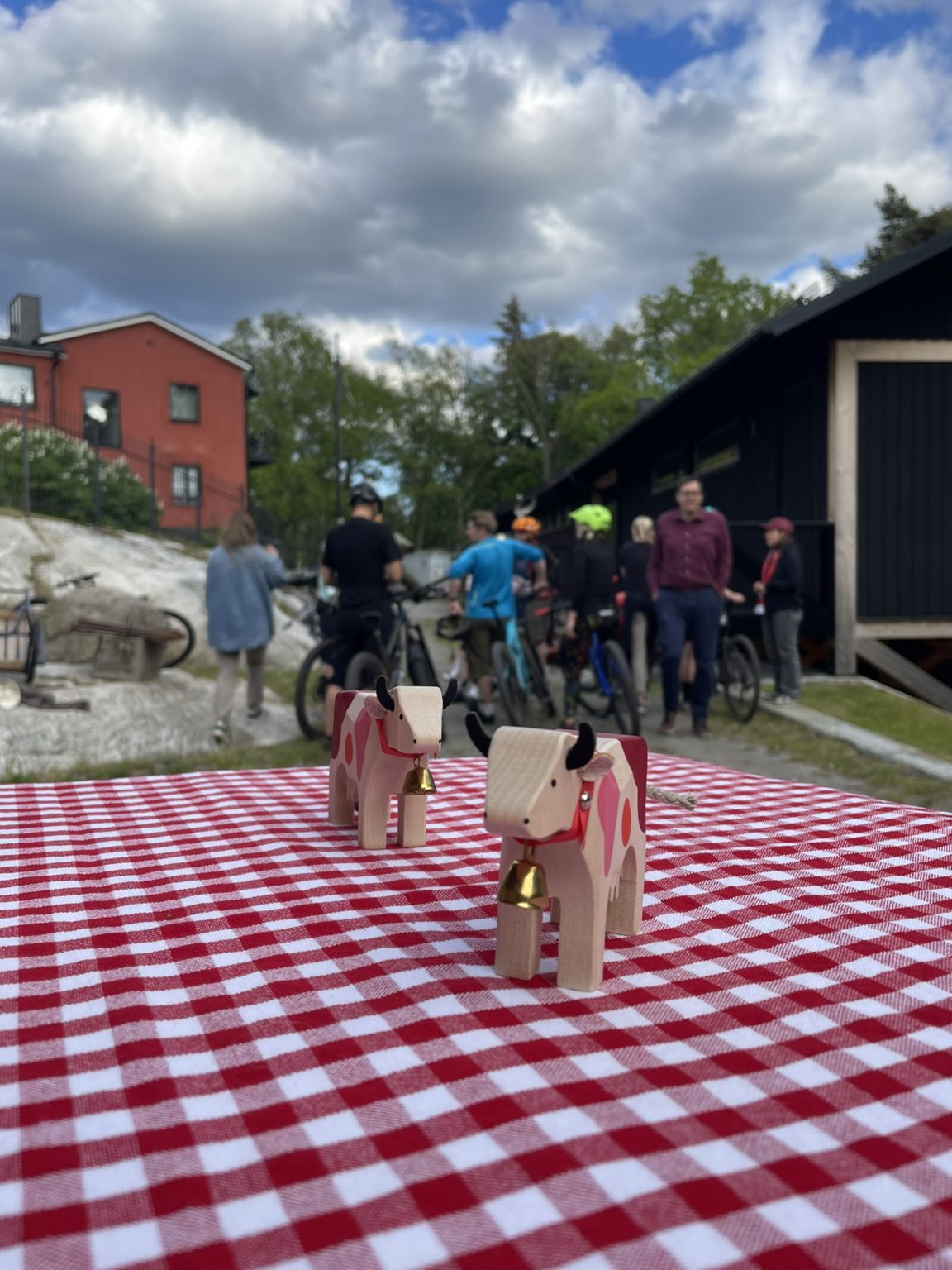 60BE3743-D93C-42DC-94C4-6D1B8028A1DE_1_102_o